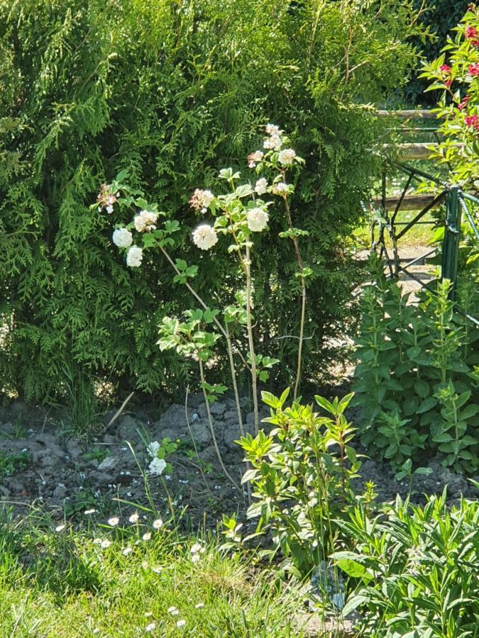 Rekerlanden 177 Vakantiewoning Nabij Strand Warmenhuizen Bagian luar foto